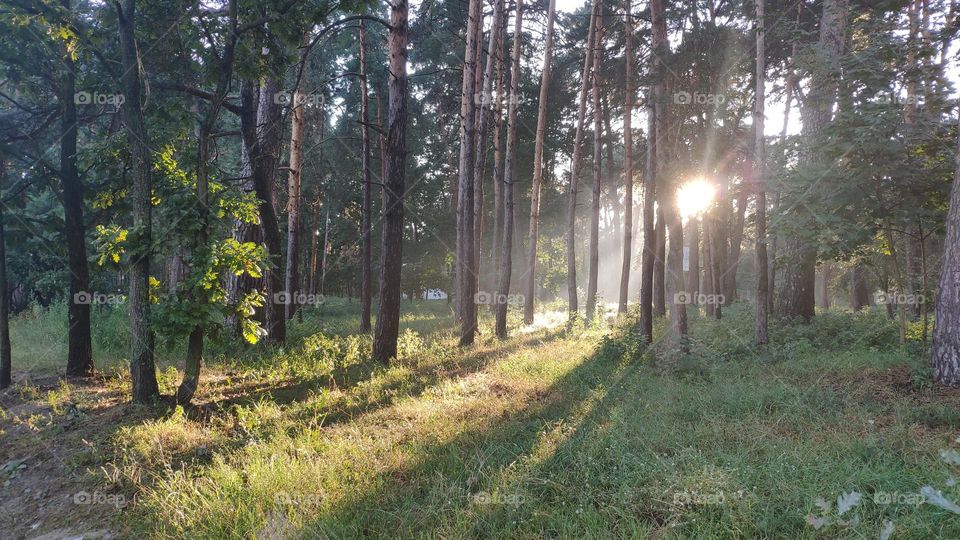 it is evening and the sun is setting