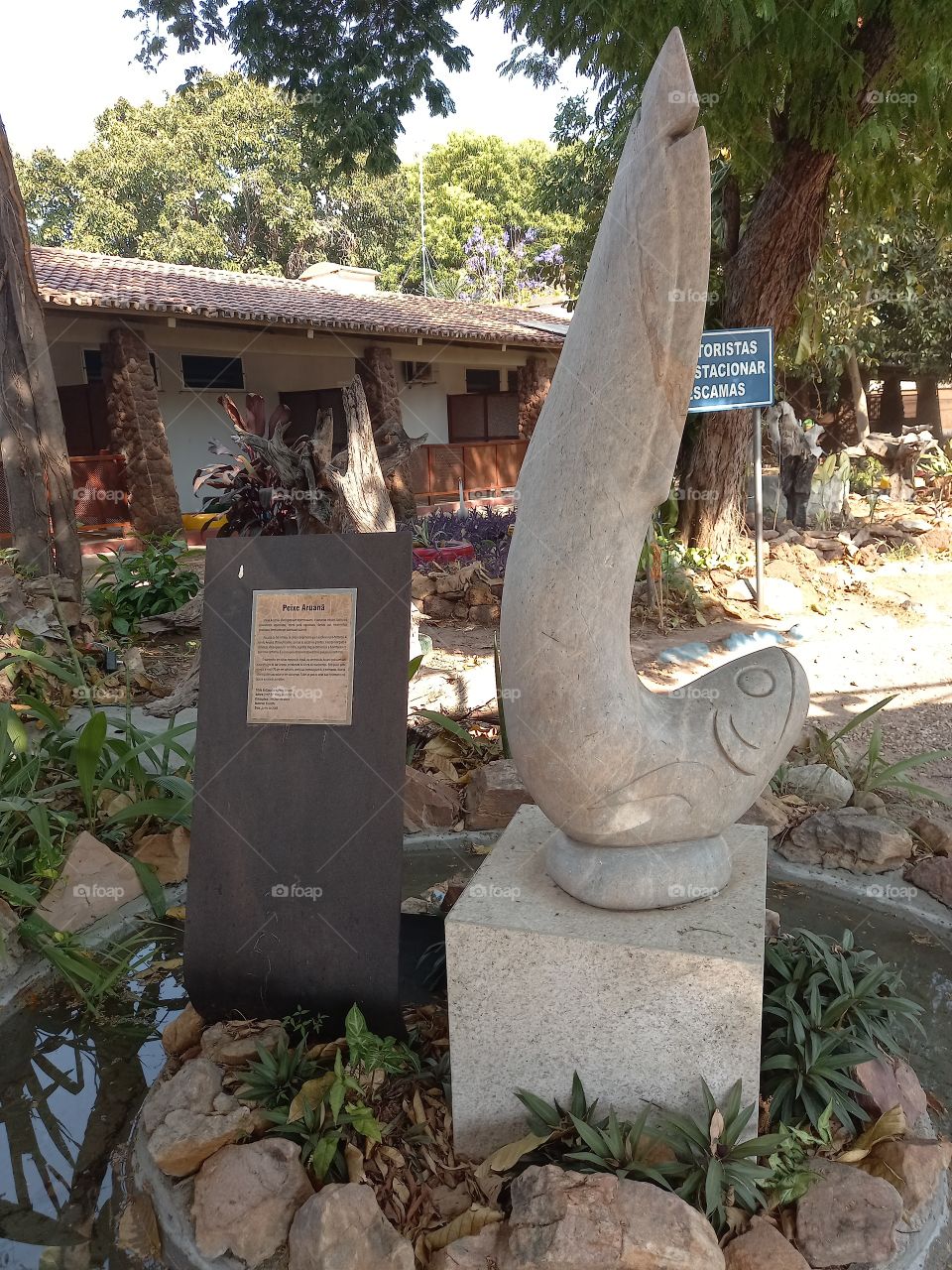 ESTÁTUA DE PEIXE DE NOME ARUANÃ.