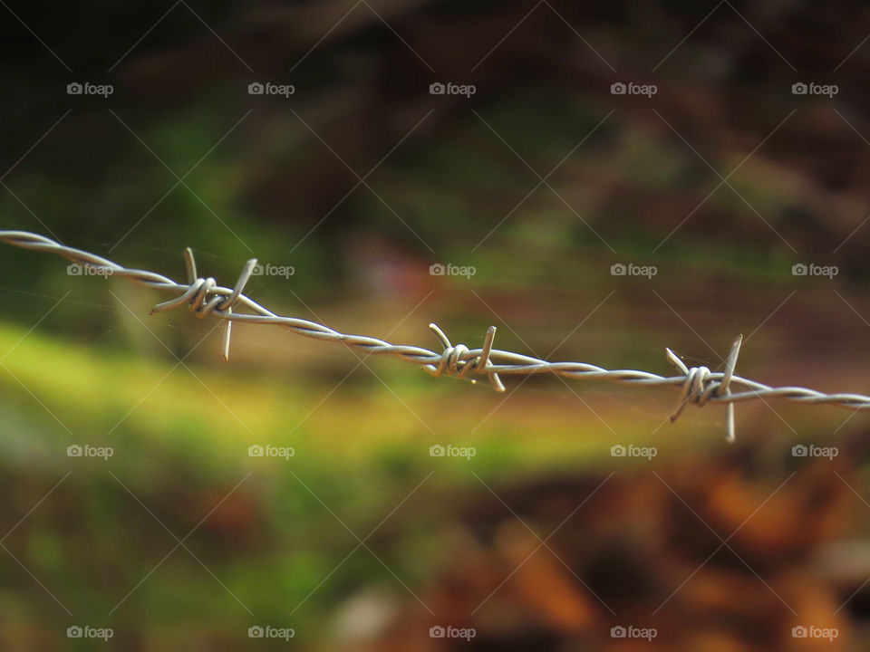 barbed wire