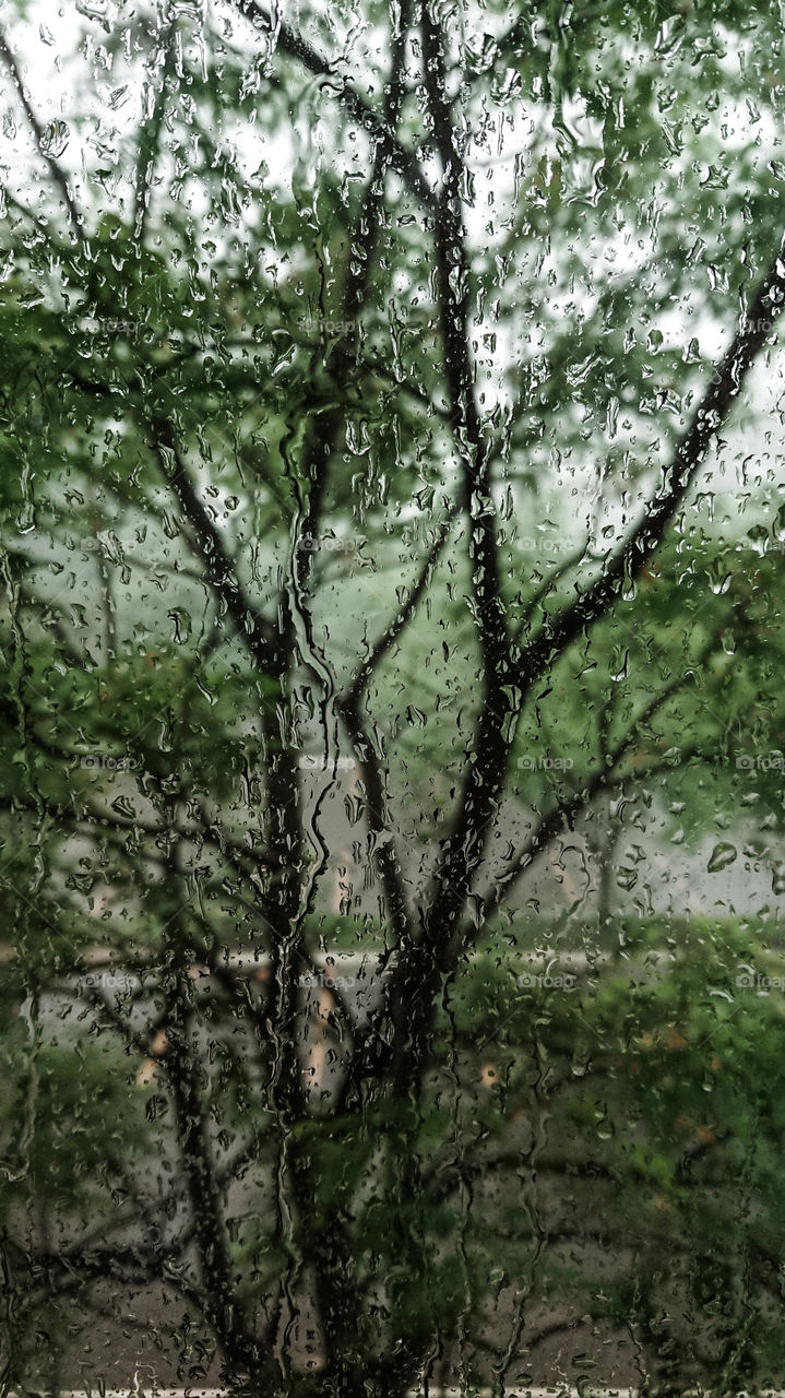 Rain out the window