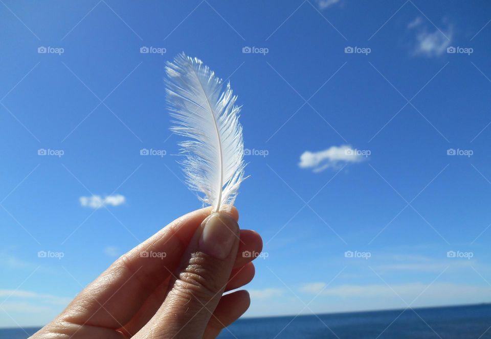 love summer time, vacation on a sea, white feather in the hand blue sky background