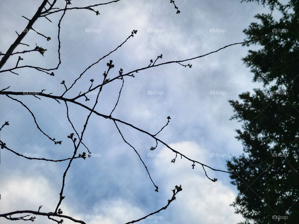 Fluffy grey strom clouds overhead