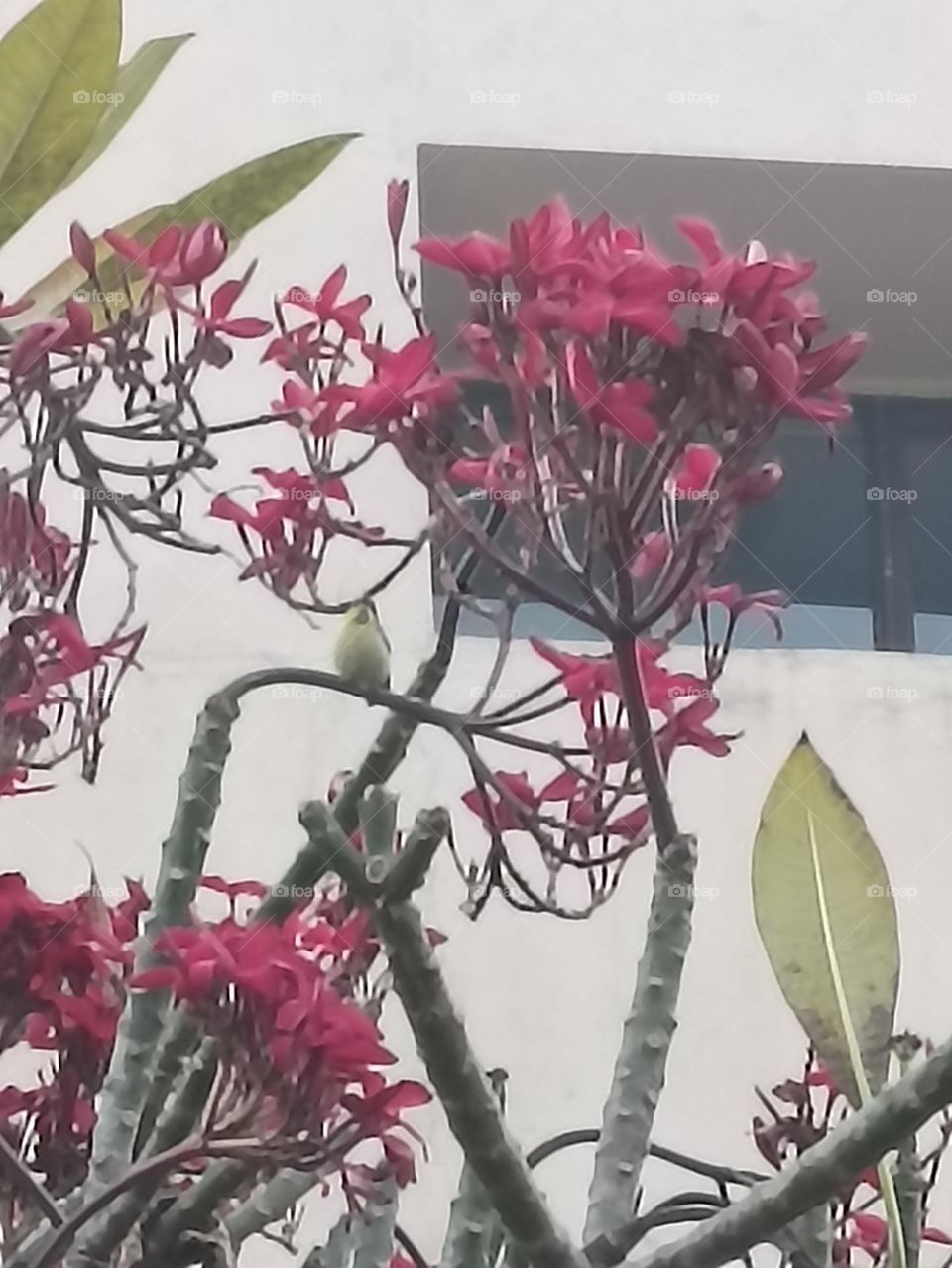 preaching talking to it's members