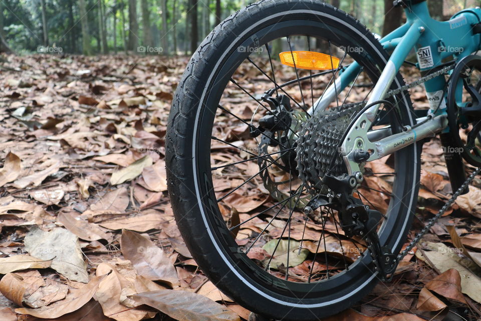 bicycle tires in the forest