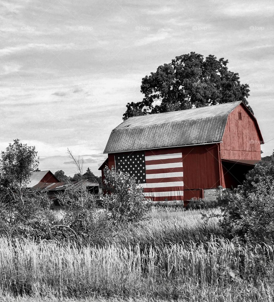 American pride in Michigan