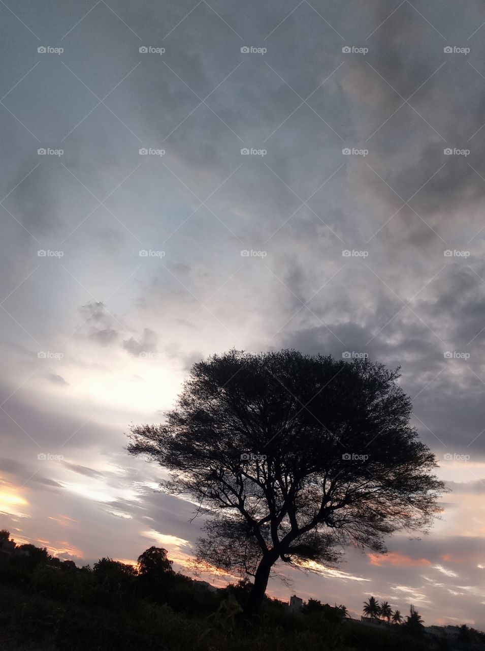 😇I am village boy this photo click in my redmi 6 phone 👍❤ please support me to new village🌿🍃 photos uploading🥰