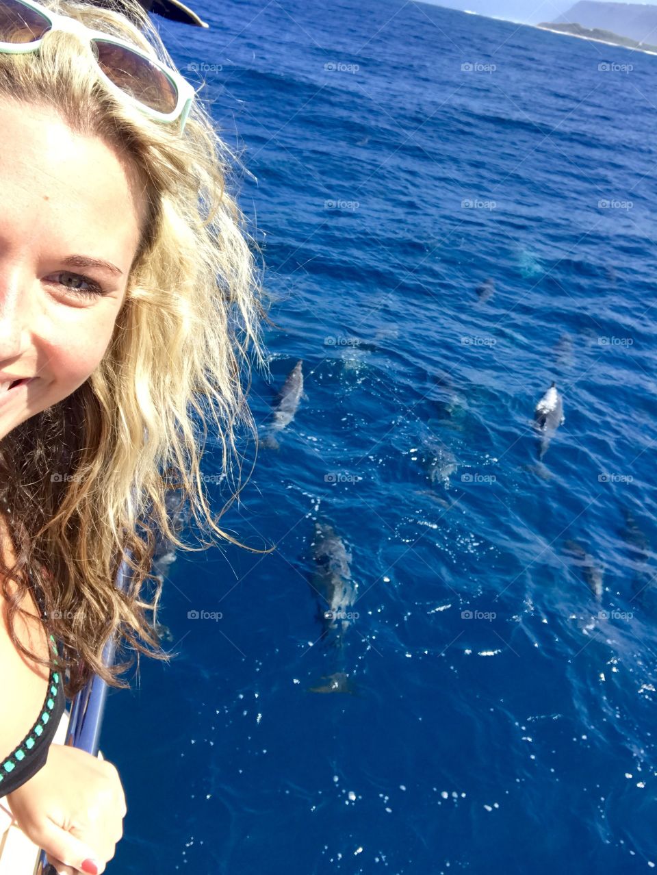 Dolphin selfie!