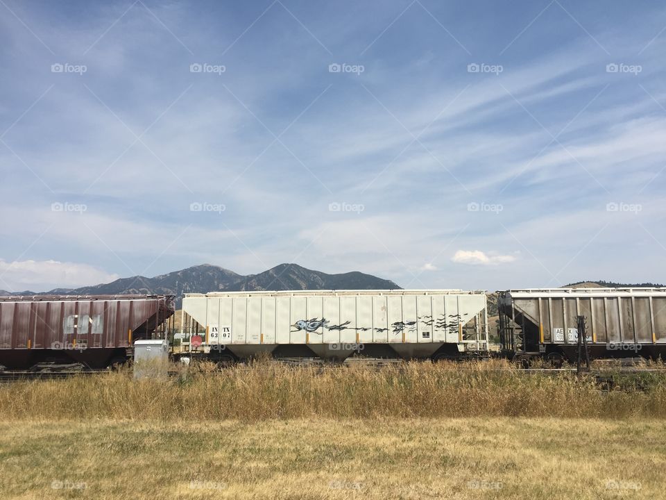 Train, Railway, Locomotive, No Person, Transportation System