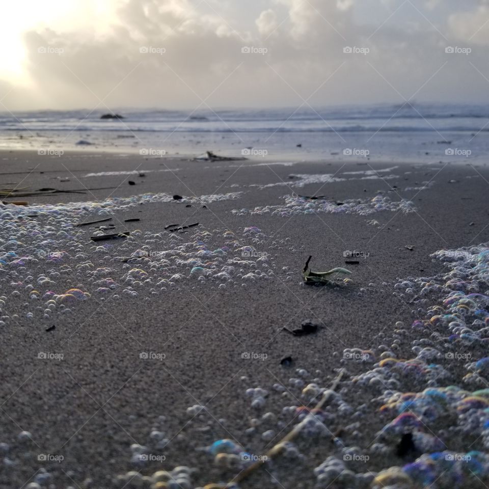 Beach, Seashore, Sea, Water, Ocean