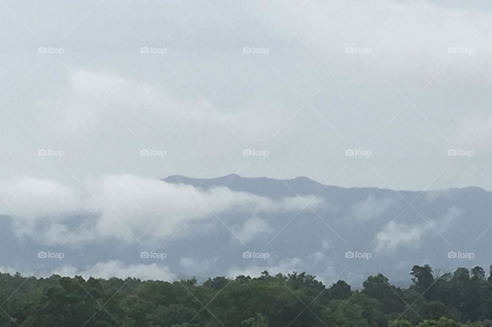 Clouds in the Mountains 