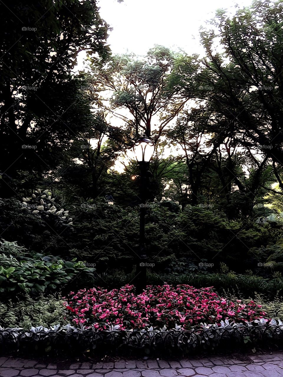 Olmsted Flower Bed - Central Park, New York City. Instagram,@PennyPeronto