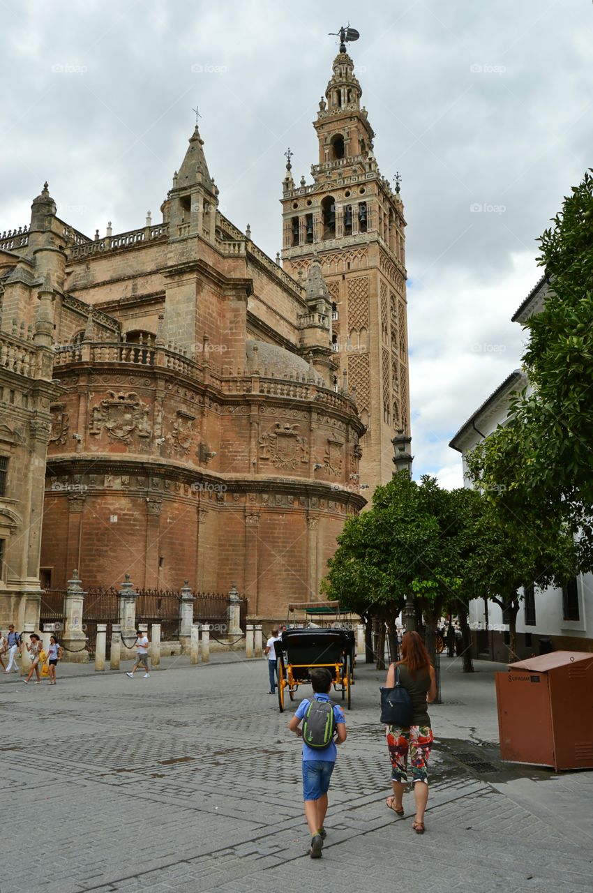 La Giralda. Cathedral and Giralda Tower, Sevilla, Spain