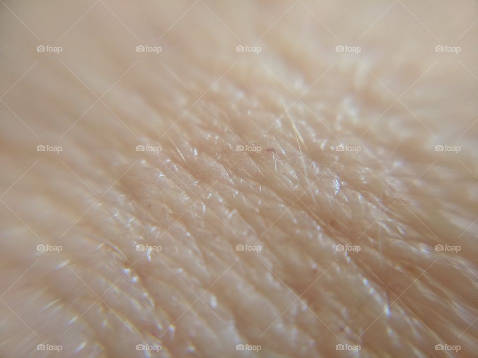 Skin Close Up View