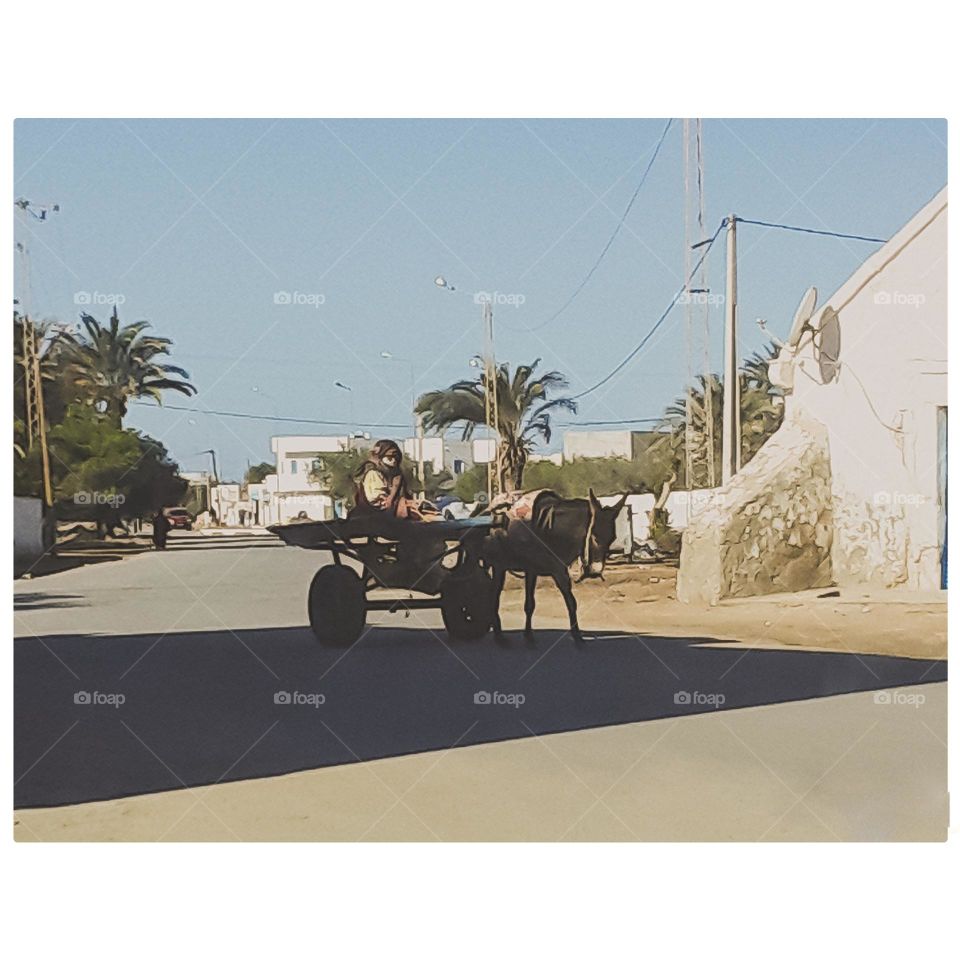 took a picture of a trailer driven by a woman in one of the neighborhoods of my city
The cart is still the cart, the cart is still transporting some parts in some parts of the island of Djerba
