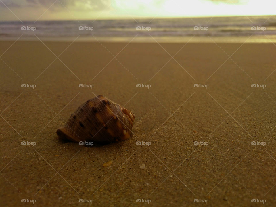 Beach, Sand, Seashore, Sea, Ocean