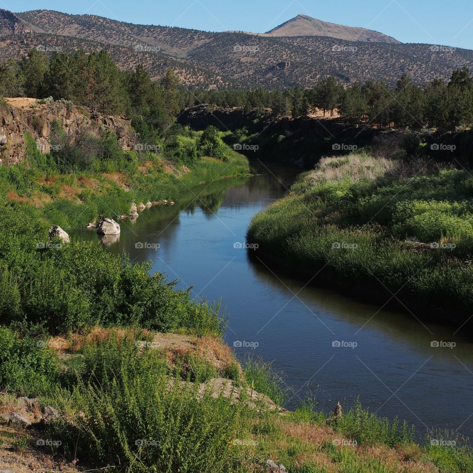 The beautiful Crooked River in Central Oregon winds slowly through a small canyon with lush green banks towards the hills on a clear summer day. 