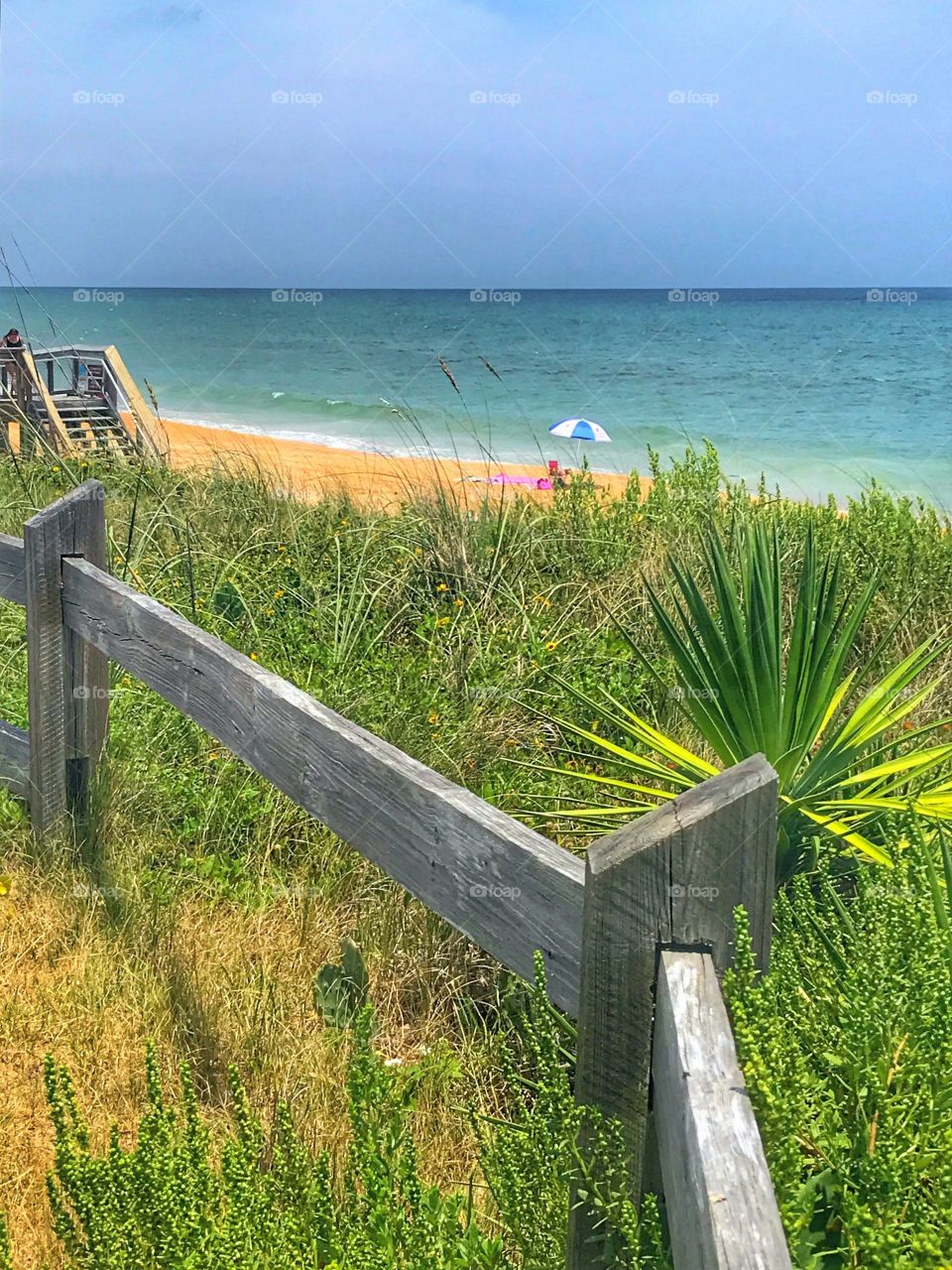 Beach Scene