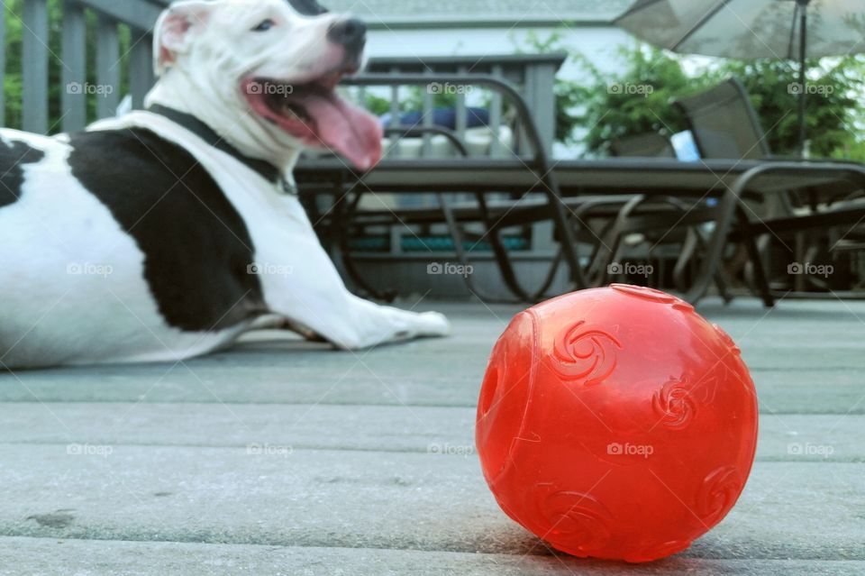Playing Ball