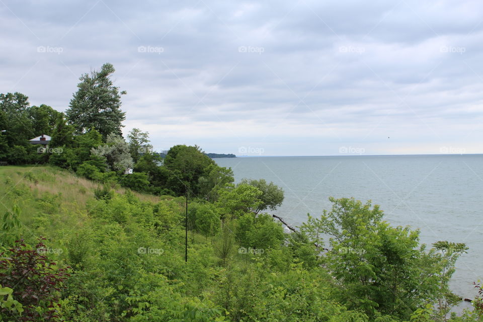 Lake Erie Shores