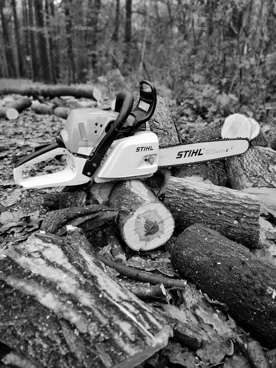 Chainsaw, black and white
