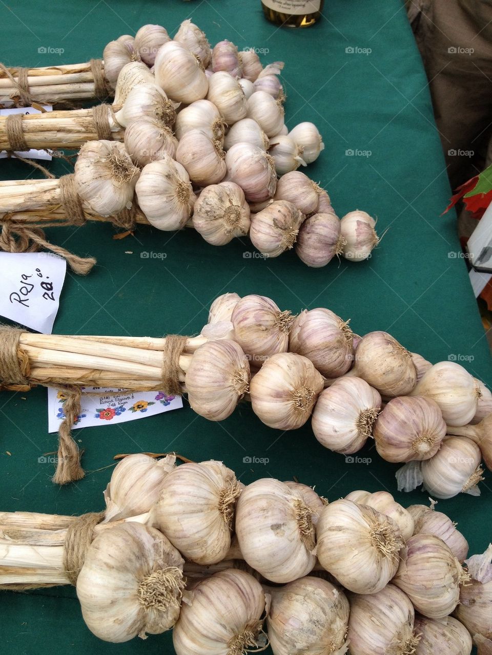 Garlic