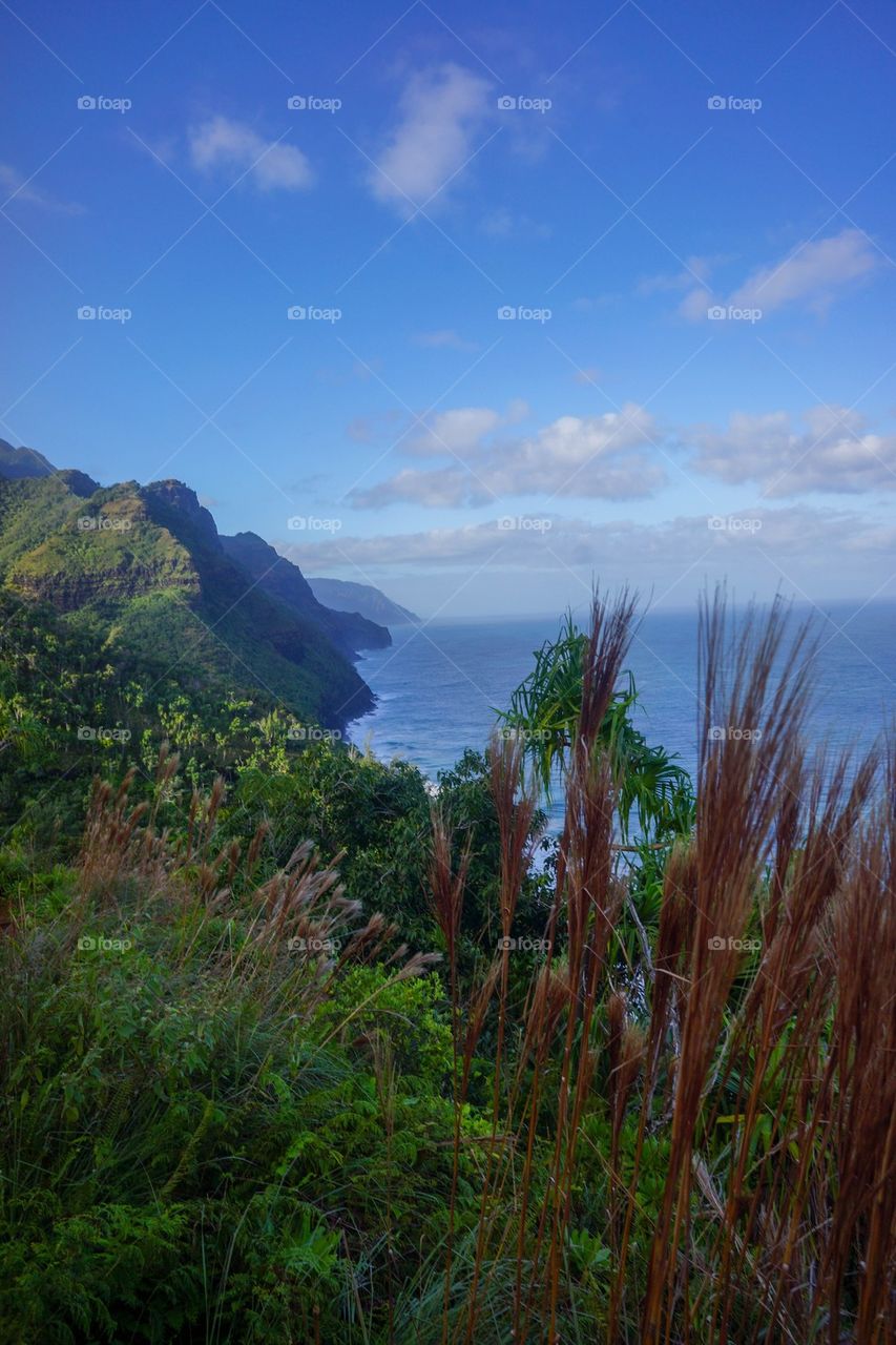 Paradise in kauai