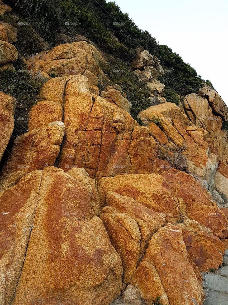 Beautiful big rock along the trail seaside.