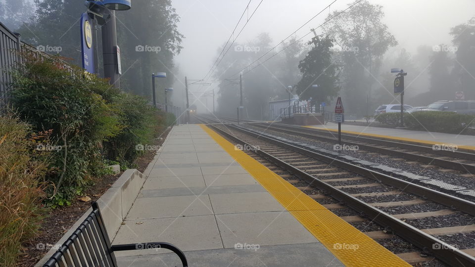 Lightrail Station Fog