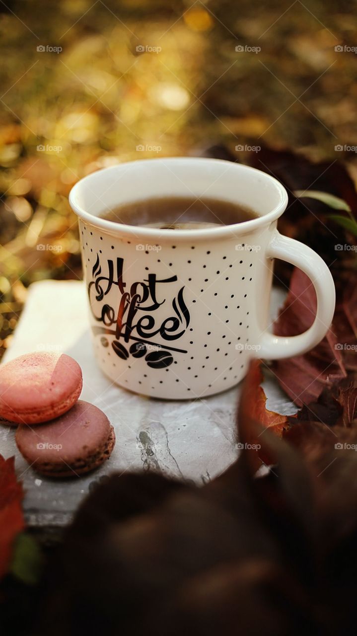 Its Coffee Time At Forest