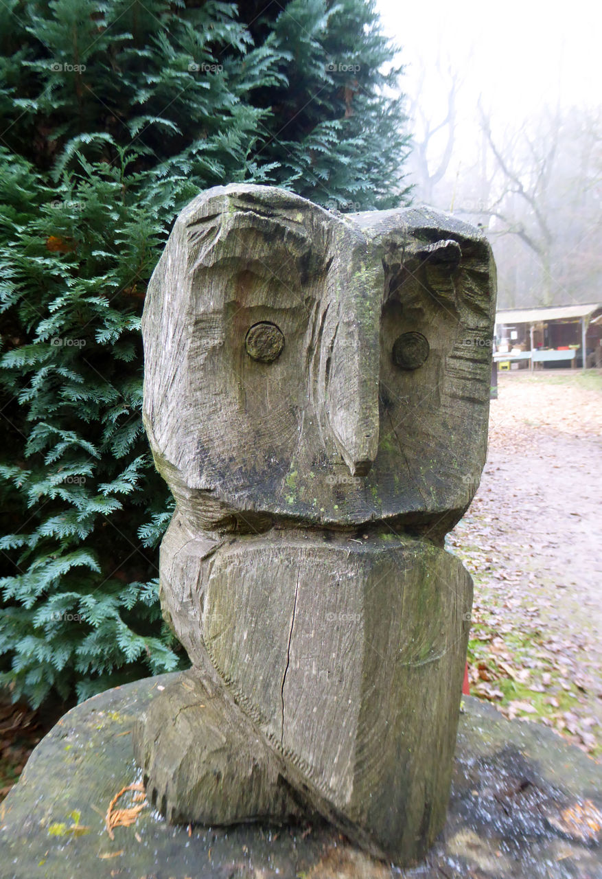 wooden owl in front of a conifer