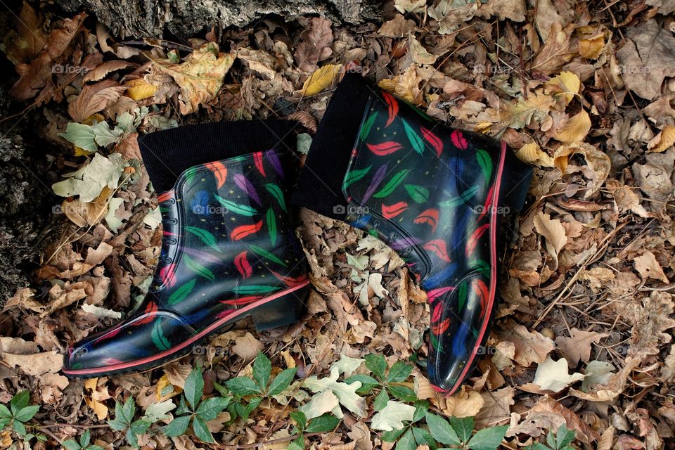 Rubber boots lie on the autumn foliage, autumn mood, flat lay.