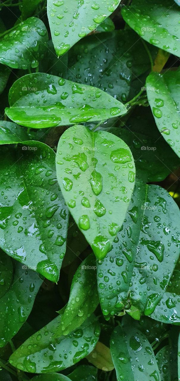 Editors'choice : Photo of the week