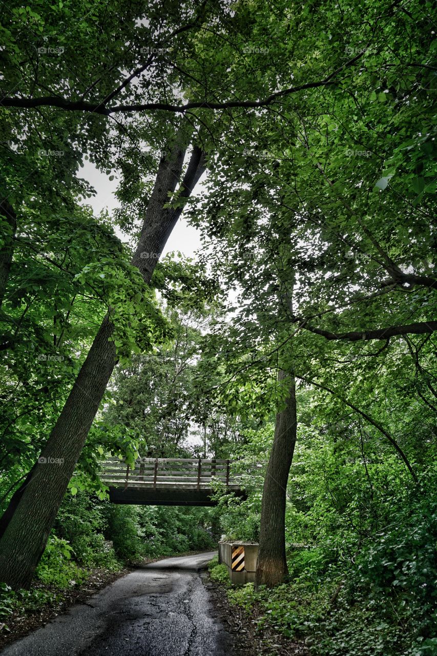 Bridge in View