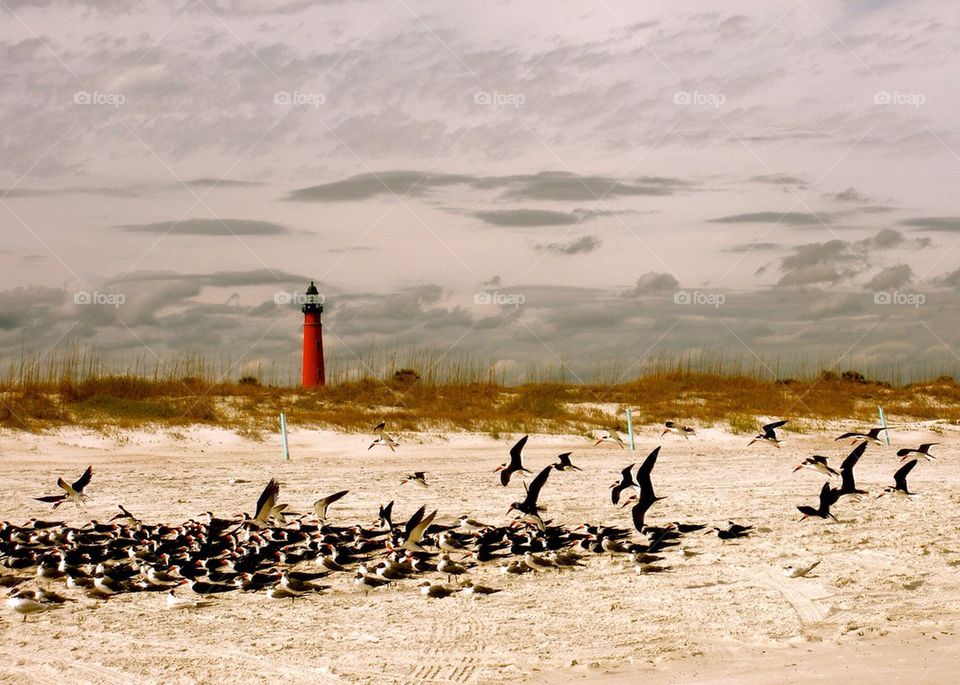 Ponce de Leon lighthouse in florida