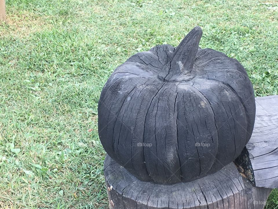 Black pumpkin