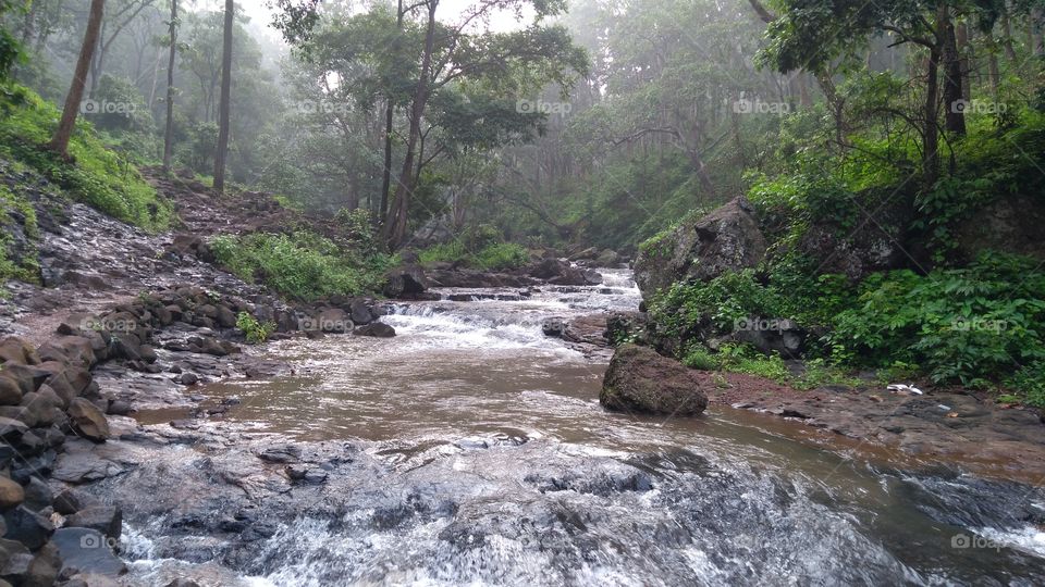 Water, Stream, River, Nature, Waterfall