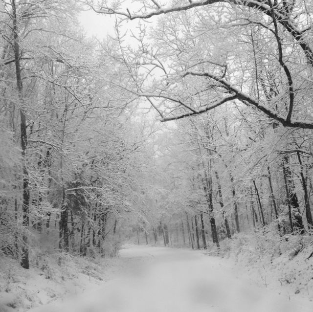 Winter Time Travel