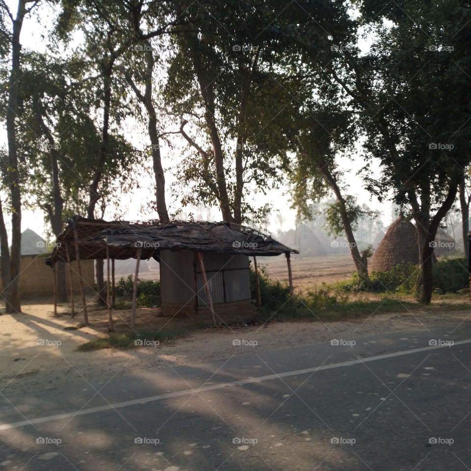 roadside hut