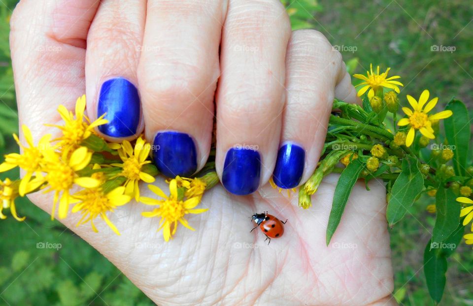 flowers and ladybug in the female hand