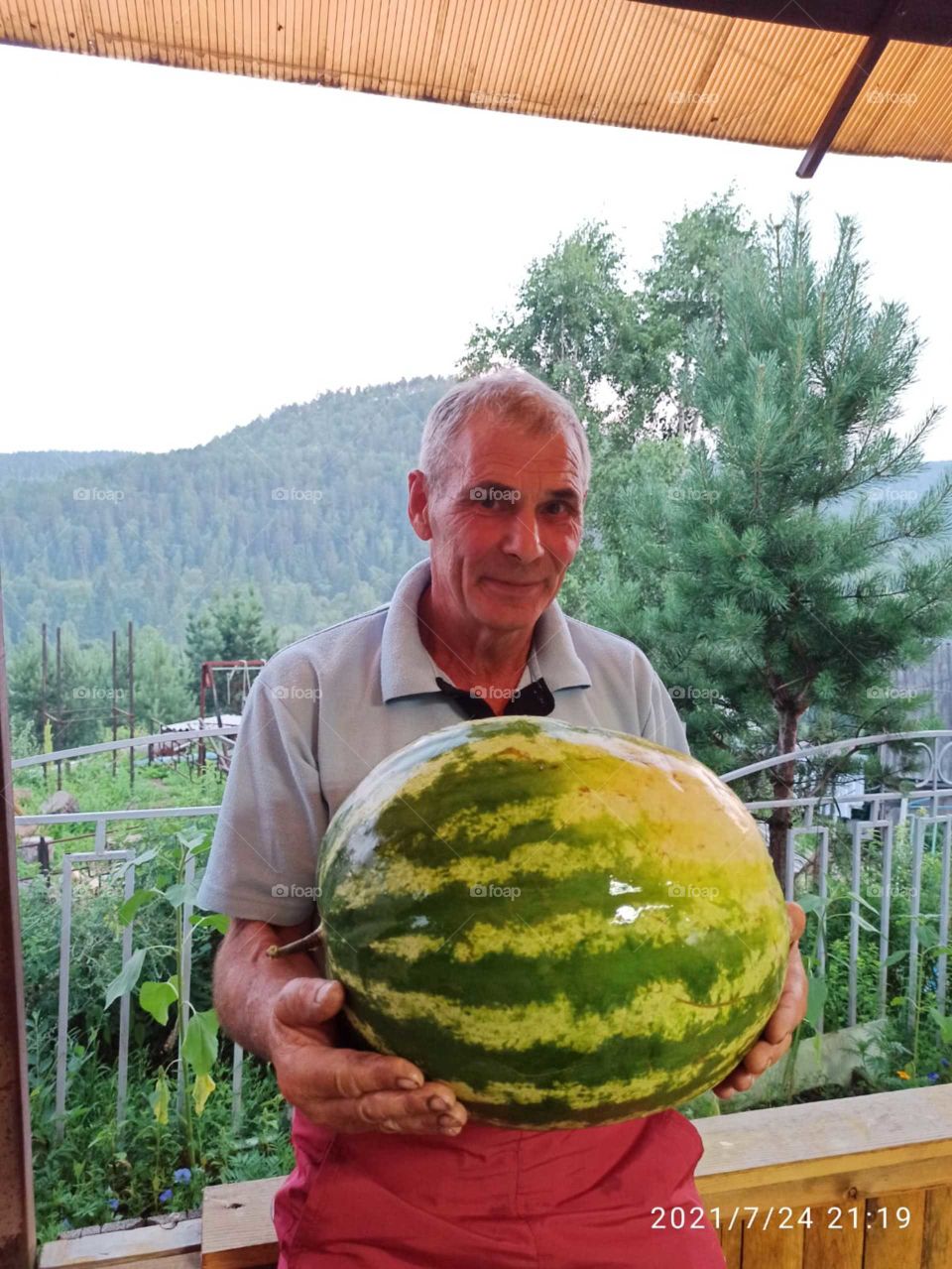 Wassermelone