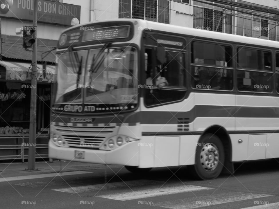 city bus black and white