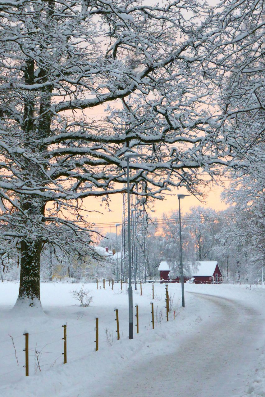 Sunset color in winter Landscape