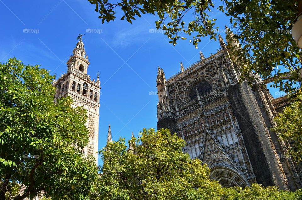 Sevilla cathedral and Giralda