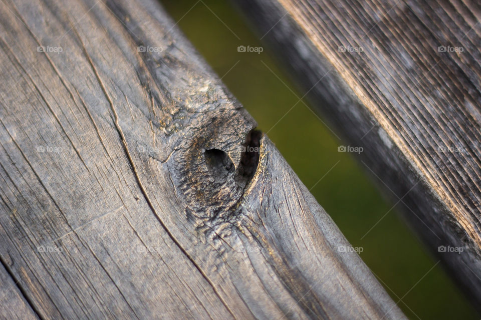 Heart formed in a wood bench
