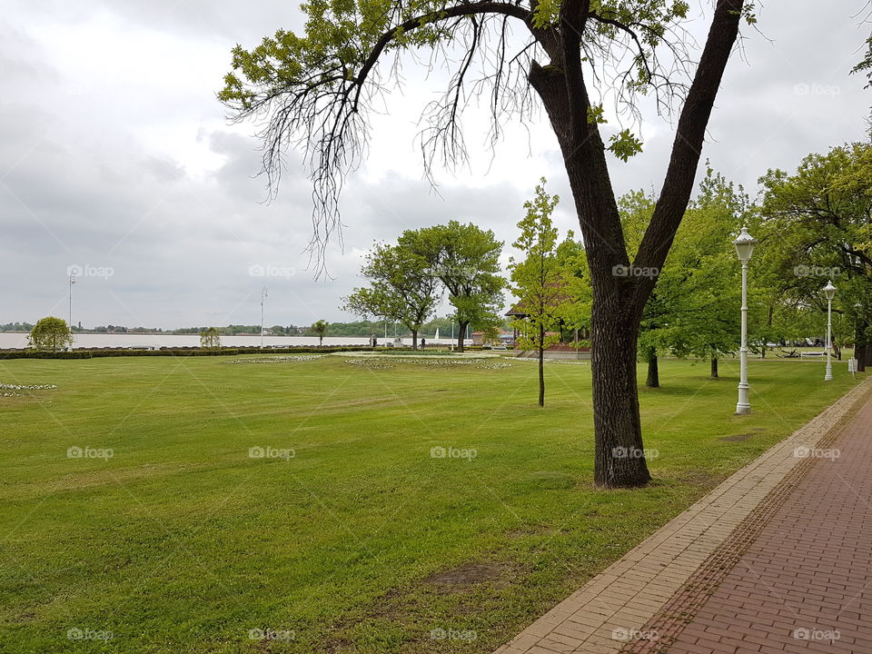 nature landscape near Palic lake,Serbia, forrest, lawn, lake