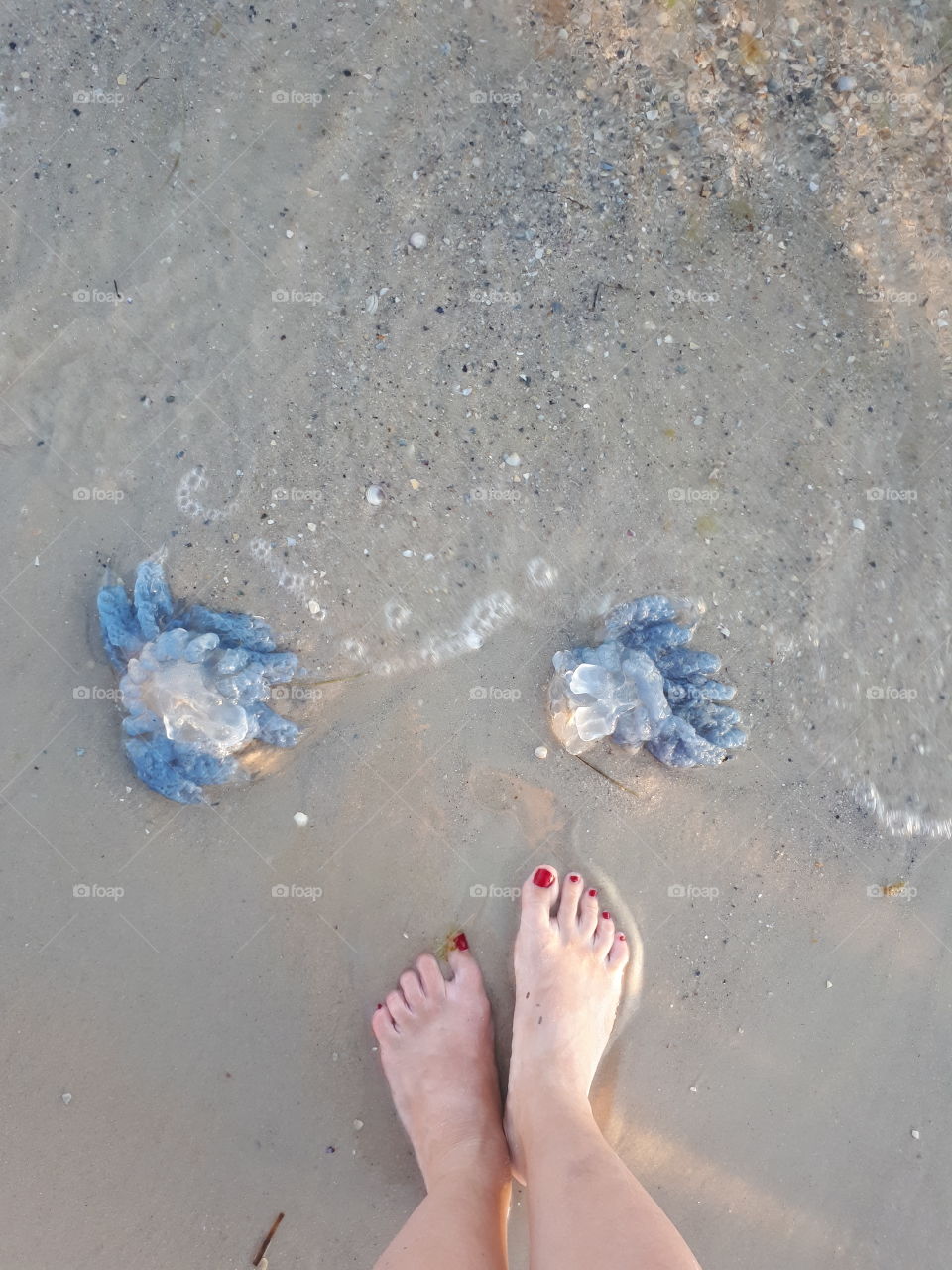 Feet at sand near two blue medusa