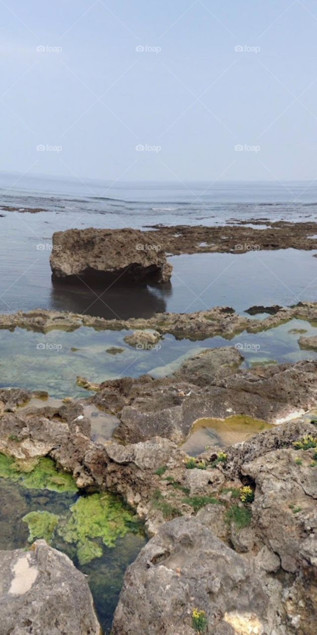 Thủy triều lên.