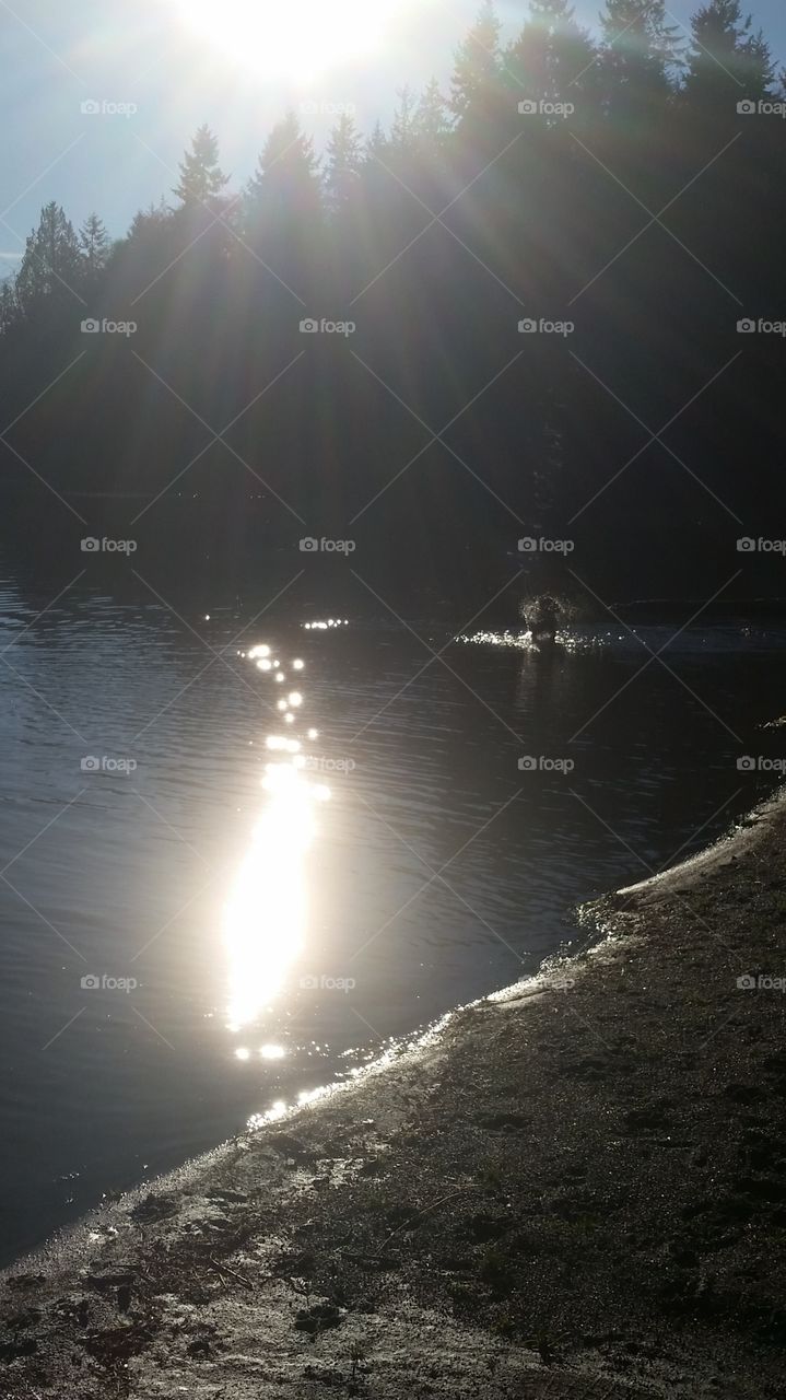 Sunny reflection on a lake