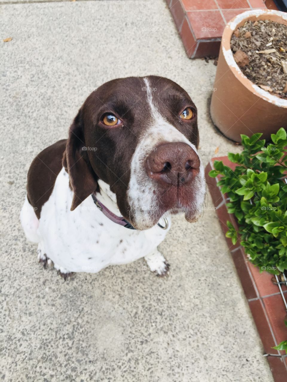 No my Photos I said! 😆