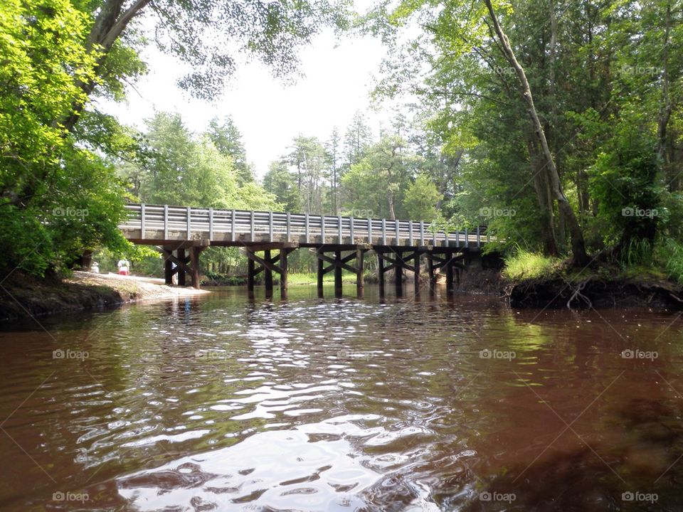 Wading Pines bridge